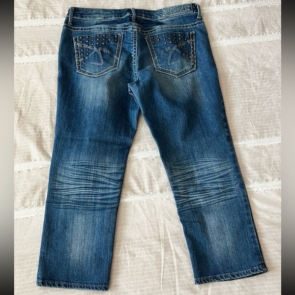 Hydraulic Jean Capris - LIKE NEW - size 13/14 - Picture 3 of 7